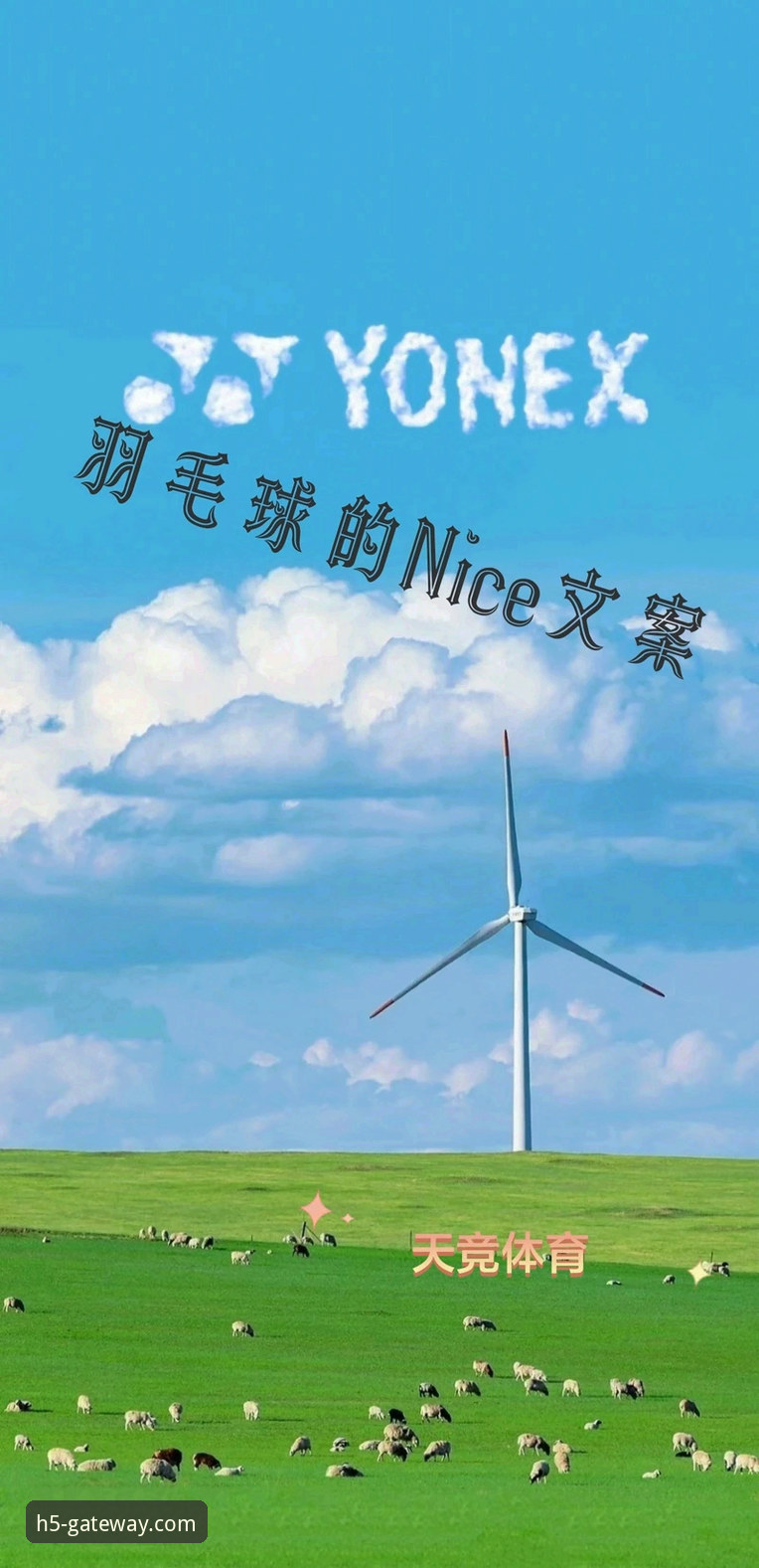开云入口注册教程下载不了怎么办 从帕尼切利伤退看世界杯:体育迷必备的观赛与信息获取实用指南